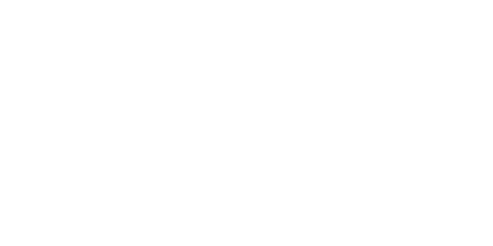 Dealz Detective